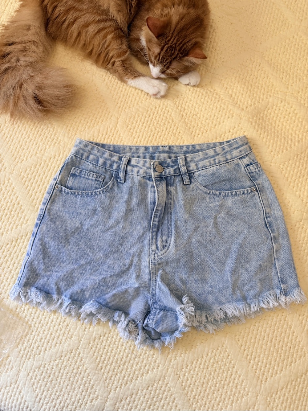 SHEIN Light Blue High-Rise Frayed Hem Denim Shorts